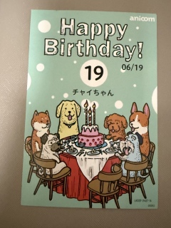 19