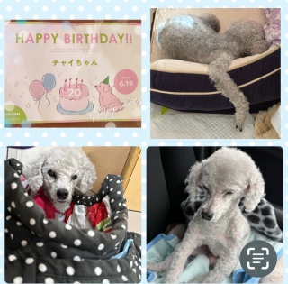 6��19��20�΂̂��a����🎉