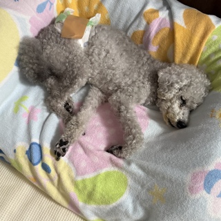 �����m�F�����Ⴄ